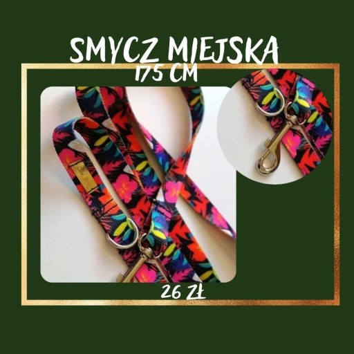 Zdjęcie oferty: Smycz miejska i obroża 