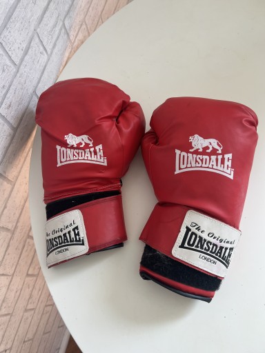 Zdjęcie oferty: Rękawiczki do boksu