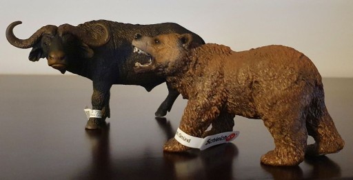 Zdjęcie oferty: Bull and Bear in the Market