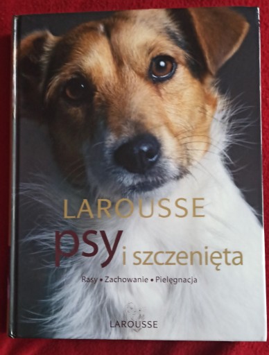 Zdjęcie oferty: Psy i szczenięta Larousse