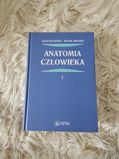 Zdjęcie oferty: Anatomia Człowieka 