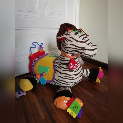 Zdjęcie oferty: Zebra Ryan Ks'Kids centrum edukacyjne