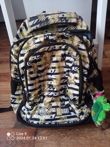 Zdjęcie oferty: Plecak szkolny ananasy