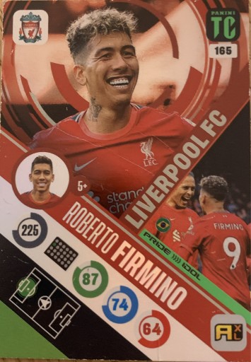 Zdjęcie oferty: Panini Top Class ROBERTO FIRMINO pride idol