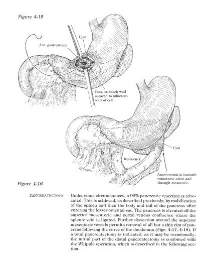 Zdjęcie oferty: Atlas of Standard Surgical Procedures