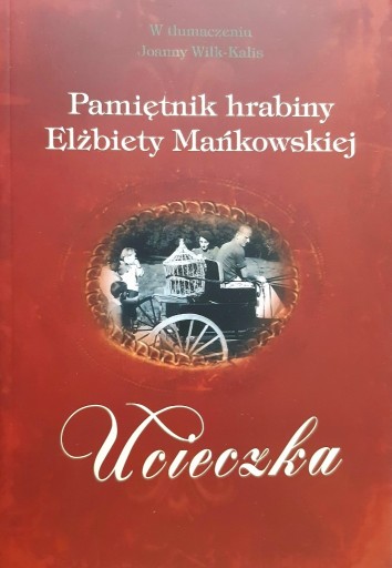 Zdjęcie oferty: Pamiętnik Elżbieta Mańkowska T. P. Potworowski