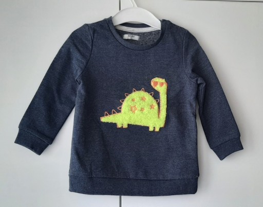 Zdjęcie oferty: Bluza z dinozaurem (86)