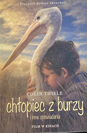 Zdjęcie oferty: chłopiec z burzy - Colin Thiele