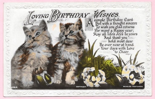 Zdjęcie oferty: Dwa urocze małe koty na urodzinowej pocztówce ...