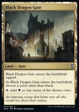 Zdjęcie oferty: Black Dragon Gate