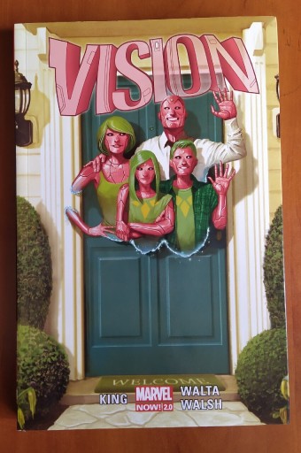 Zdjęcie oferty: Vision komiks Tom King