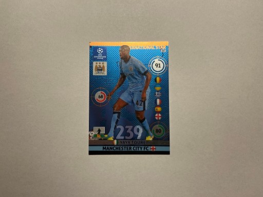 Zdjęcie oferty: International Star Yaya Toure 2014-2015