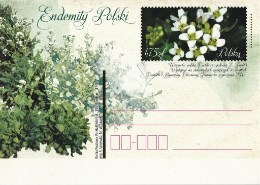 Zdjęcie oferty: Cp 1728 - Endemity Polski