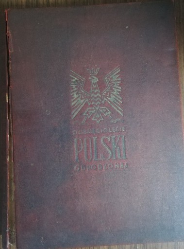 Zdjęcie oferty: Dziesięciolecie Polski Odrodzonej 1928