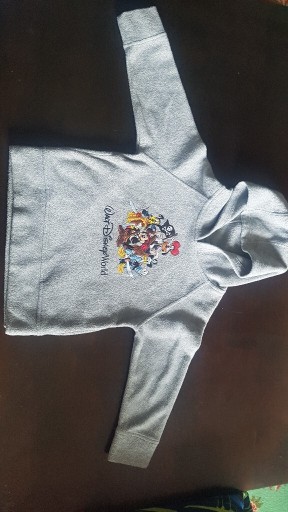 Zdjęcie oferty: Walt Disney World bluza polar 122