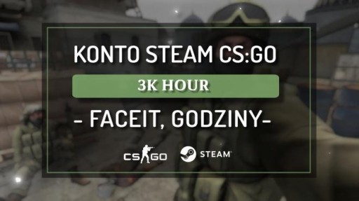 Zdjęcie oferty: KONTO STEAM Z CS:GO | CS2 3000 HOUR FACEIT GODZINY