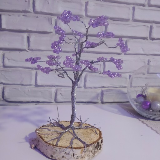 Zdjęcie oferty: Drzewko szczęścia bonsai