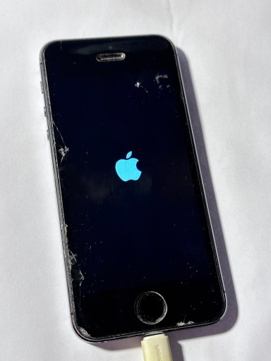 Zdjęcie oferty: Smartfon Apple iPhone 5S Model A1533