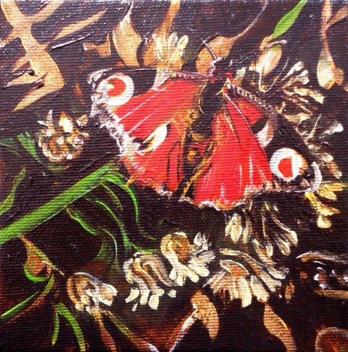 Zdjęcie oferty: Motyl, 15 cm x 15 cm, olej, płótno