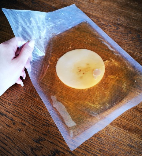 Zdjęcie oferty: Kombucha grzybek herbaciany kombucza 10 cm 250 ml