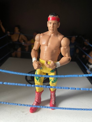 Zdjęcie oferty: Unikat figurka WWE Mattel 2010 Ricky Steamboat