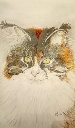 Zdjęcie oferty: Kotek,rysunek w olowku