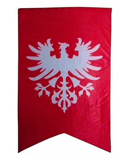 Zdjęcie oferty: Maszt Flaga Powstanie Wielkopolskie 150x90 cm