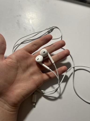 Zdjęcie oferty: Apple Ear Pods Lightning