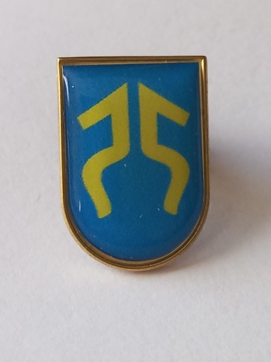 Zdjęcie oferty: Herb miasta i gmina Pińczów przypinka pin odznaka