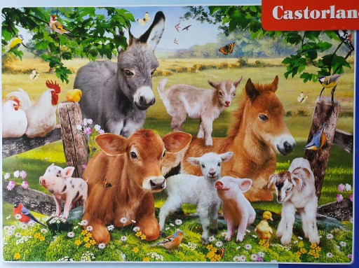 Zdjęcie oferty: Puzzle NA FARMIE  On the Farm, 100 sztuk, dla dziecka 6+