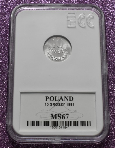 Zdjęcie oferty: 10 GROSZY 1981 MS 67