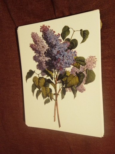 Zdjęcie oferty: Kwiaty  reprint XIX w. grafik do aranżacji wnętrza