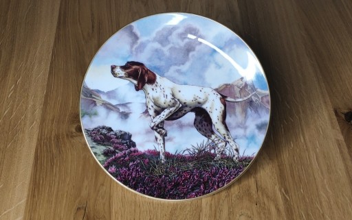 Zdjęcie oferty: Talerz Royal Doulton Dogs in action kolekcja