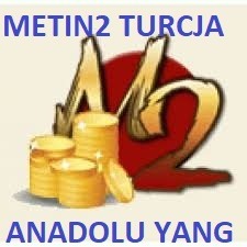 Zdjęcie oferty: Metin 2 Anadolu Yang 100kk/1w Turcja