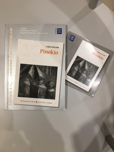 Zdjęcie oferty: Pinokio C.Collodi z opracowaniem i audiobook