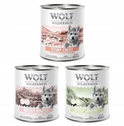 Zdjęcie oferty: Wolf of wilderness JUNIOR 12x800g MIX SMAKOWY