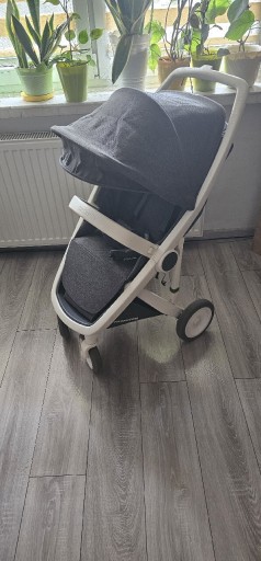 Zdjęcie oferty: Greentom classic limited 