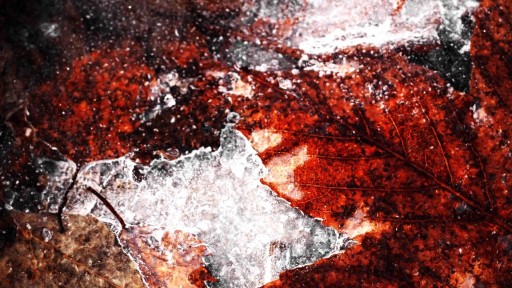 Zdjęcie oferty: Obraz na płótnie Abstrakcja120x70„Ukryte w lodzie”