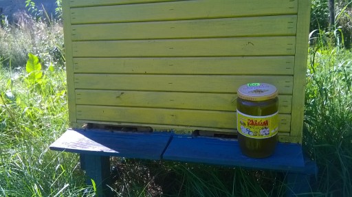 Zdjęcie oferty: miód pszczeli Spadź liściasta