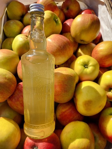 Zdjęcie oferty: Ocet jabłkowy z Pojezierza Drawskiego naturalny