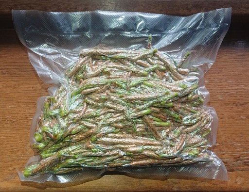 Zdjęcie oferty: Pędy sosny 4 kg świeże eko pakowane próżniowo