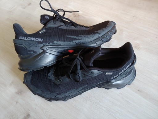 Zdjęcie oferty: buty Salomon AlphaCross 4 GTX 