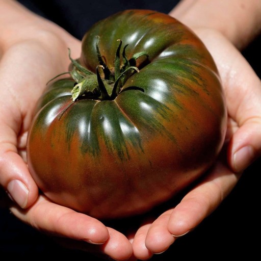 Zdjęcie oferty: Pomidor Black Krim nasiona kolekcjonerskie