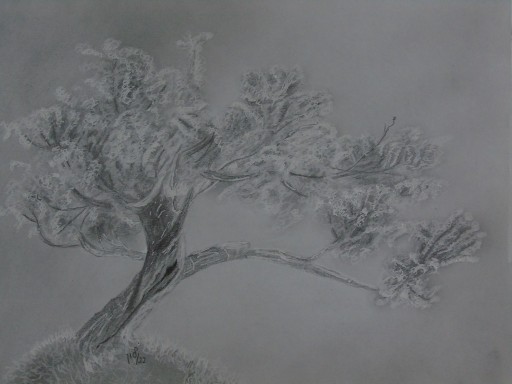 Zdjęcie oferty: Tree rysunek w olowku