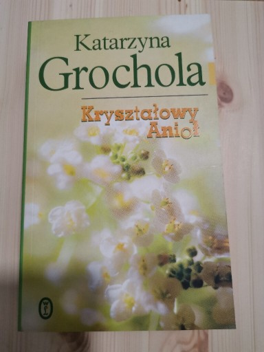 Zdjęcie oferty: Katarzyna Grochola. Kryształowy Anioł 