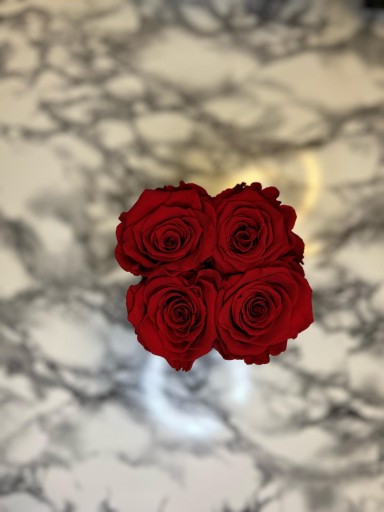 Zdjęcie oferty: Czarny flowerbox z czerwonymi wiecznymi różami 