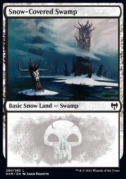 Zdjęcie oferty: Snow-Covered Swamp (V.1)