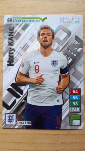 Zdjęcie oferty: ROAD TO EURO 2020 LIMITED KANE