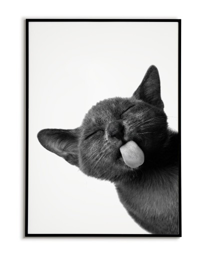 Zdjęcie oferty: Kot "Angry Black Cat vol.10" PLAKAT A3 Vintage, Cat - trzeci plakat GRATIS