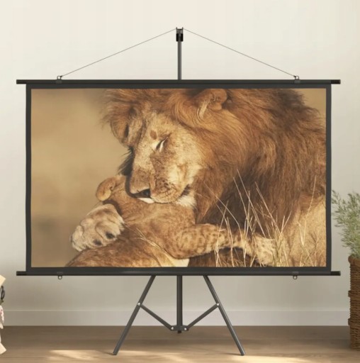 Zdjęcie oferty: Ekran projekcyjny ze stojakiem 164 cm x 100 cm